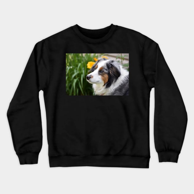 Willow Crewneck Sweatshirt by theartsyeq